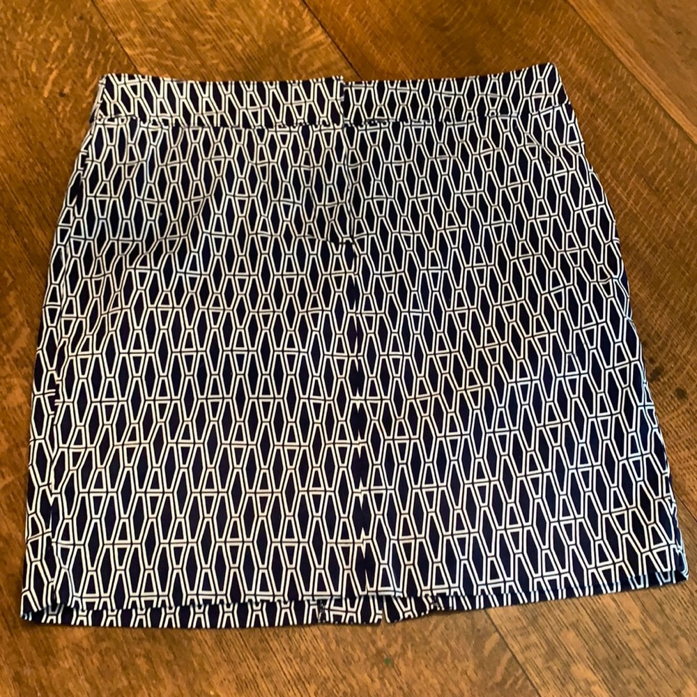 Ellen Tracy Skirt
